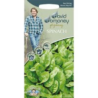 David Domoney Spinach Seeds
David Domoney Spinach Seeds