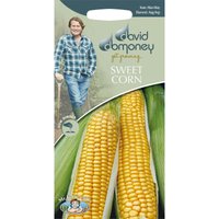 David Domoney Sweet Corn Seeds
David Domoney Sweet Corn Seeds