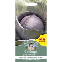 Mr. Fothergill's Cabbage Red Romanov F1
Mr. Fothergill's Cabbage Red Romanov F1