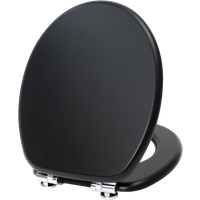 Resonance Black Toilet Seat
Resonance Black Toilet Seat