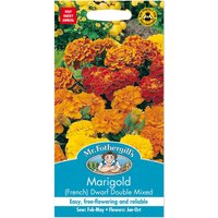 Mr. Fothergill's French Marigold Dwarf Double Mixed Seeds
Mr. Fothergill's French Marigold Dwarf Double Mixed Seeds