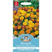 Mr. Fothergill's French Marigold Boy-O-Boy Mixed Seeds
Mr. Fothergill's French Marigold Boy-O-Boy Mixed Seeds