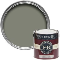 Farrow & Ball Exterior Paint Eggshell Treron - 2.5L
Farrow & Ball Exterior Paint Eggshell Treron - 2.5L