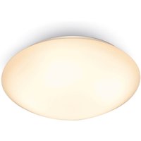 Dion 13W Warm White 25cm Flush Light
Dion 13W Warm White 25cm Flush Light