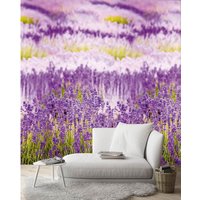 Grandeco Lavender Purple Digital Wallpaper Mural
Grandeco Lavender Purple Digital Wallpaper Mural