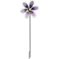 Flamboya Spinning Blooms
Flamboya Spinning Blooms