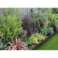 Evergreen Border 5m x 120cm
Evergreen Border 5m x 120cm