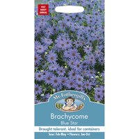 Mr. Fothergill's Brachycome Blue Star
Mr. Fothergill's Brachycome Blue Star