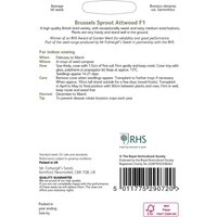 RHS Brussels Sprout Attwood F1
RHS Brussels Sprout Attwood F1