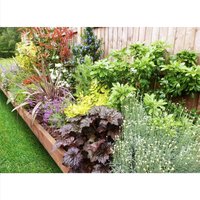 Sunny Border 10m X 120cm
Sunny Border 10m X 120cm