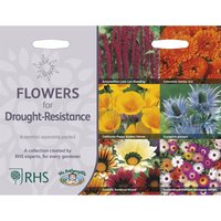 RHS Flowers for Drought Resistance Flowers Collection
RHS Flowers for Drought Resistance Flowers Collection