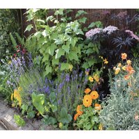 Sensory Themed Border 7m X 120cm
Sensory Themed Border 7m X 120cm