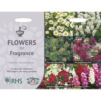 RHS Flowers for Fragrance Collection
RHS Flowers for Fragrance Collection