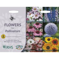 RHS Flowers for Pollinators Collection
RHS Flowers for Pollinators Collection
