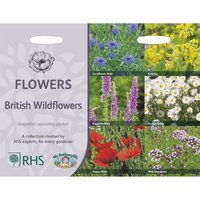 RHS British Wild Flowers Collection
RHS British Wild Flowers Collection