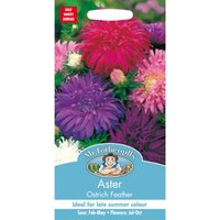 Mr. Fothergill's Aster Ostrich Feather Seeds
Mr. Fothergill's Aster Ostrich Feather Seeds