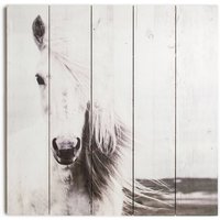 Horse Print Wooden Wall Art
Horse Print Wooden Wall Art