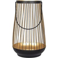 Pioneer 24cm Metal Lantern - Black & Gold
Pioneer 24cm Metal Lantern - Black & Gold