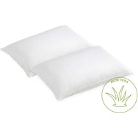 Aloe Vera Pillow Pair
Aloe Vera Pillow Pair