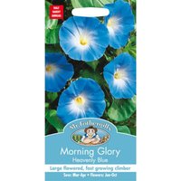 Mr. Fothergill's Morning Glory Heavenly Blue (Ipomoea Purpurea) Seeds
Mr. Fothergill's Morning Glory Heavenly Blue (Ipomoea Purpurea) Seeds