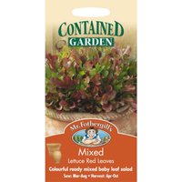 Mr. Fothergill's Mixed Lettuce Red Leaves (Lactuca Sativa) Seeds
Mr. Fothergill's Mixed Lettuce Red Leaves (Lactuca Sativa) Seeds