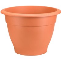 Palladian Plant Pot in Terracotta - 30cm
Palladian Plant Pot in Terracotta - 30cm