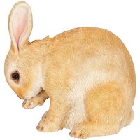 Resin Rabbit
Resin Rabbit