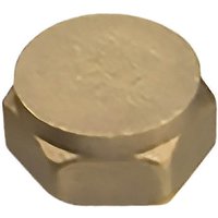 Compression Blanking Nut 0.5in
Compression Blanking Nut 0.5in