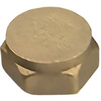 Compression Blanking Nut 0.75in
Compression Blanking Nut 0.75in