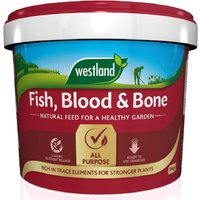 Westland Fish, Blood and Bone - 10kg
Westland Fish, Blood and Bone - 10kg