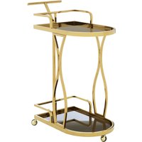 Nova 2 Tier Gold Wavy Design Trolley
Nova 2 Tier Gold Wavy Design Trolley