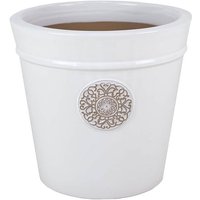 Glazed Heritage Cream Cone - 41cm
Glazed Heritage Cream Cone - 41cm