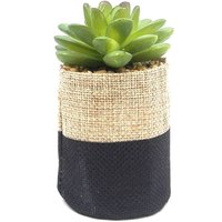 Small Plant in Two Tone Sack - Black & Natural
Small Plant in Two Tone Sack - Black & Natural