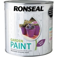 Ronseal Garden Paint Purple Berry - 2.5L
Ronseal Garden Paint Purple Berry - 2.5L