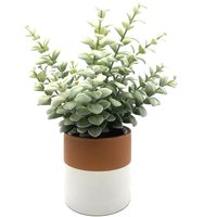 Plant in Terracotta and Grey Ceramic Pot
Plant in Terracotta and Grey Ceramic Pot