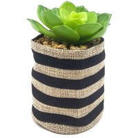 Small Plant in Striped Sack - Black & Natural
Small Plant in Striped Sack - Black & Natural
