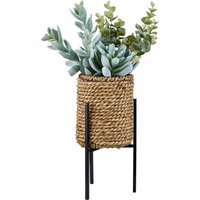 Succulent in Ratten Basket with Stand
Succulent in Ratten Basket with Stand