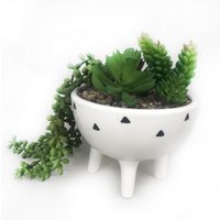 Trailing Plant in White Pot with Legs
Trailing Plant in White Pot with Legs