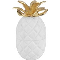 Nessa Pineapple Jar
Nessa Pineapple Jar
