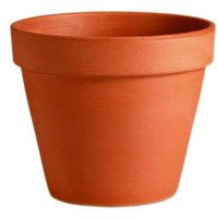 Terracotta Plant Pot - 23cm 
Terracotta Plant Pot - 23cm