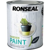 Ronseal Garden Paint Blackbird - 750ml
Ronseal Garden Paint Blackbird - 750ml
