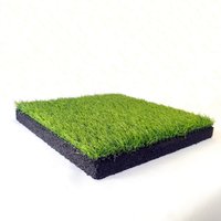 Rubber Tile with Grass 300mm
Rubber Tile with Grass 300mm