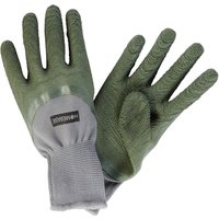 Homebase Mixed Glove - Large (3 Pack)
Homebase Mixed Glove - Large (3 Pack)