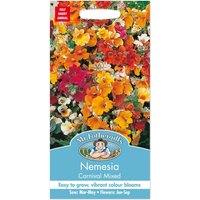 Mr. Fothergill's Nemesia Carnival Mixed Seeds
Mr. Fothergill's Nemesia Carnival Mixed Seeds