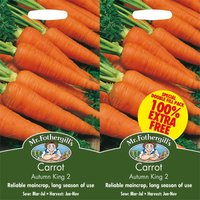 Mr. Fothergill's Carrot Autumn King
Mr. Fothergill's Carrot Autumn King