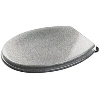 Silver Glitter Moulded Wood Toilet Seat
Silver Glitter Moulded Wood Toilet Seat