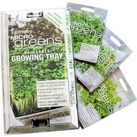 Johnsons Micro Greens Growing Kit
Johnsons Micro Greens Growing Kit