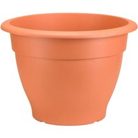 Palladian Plant Pot in Terracotta - 40cm
Palladian Plant Pot in Terracotta - 40cm