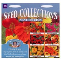 Mr. Fothergill's Nasturtium Collection (Tropaeolum Majus) Bulbs
Mr. Fothergill's Nasturtium Collection (Tropaeolum Majus) Bulbs