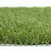 Nomow 30mm BioPet - 4m Width - Artificial Grass
Nomow 30mm BioPet - 4m Width - Artificial Grass